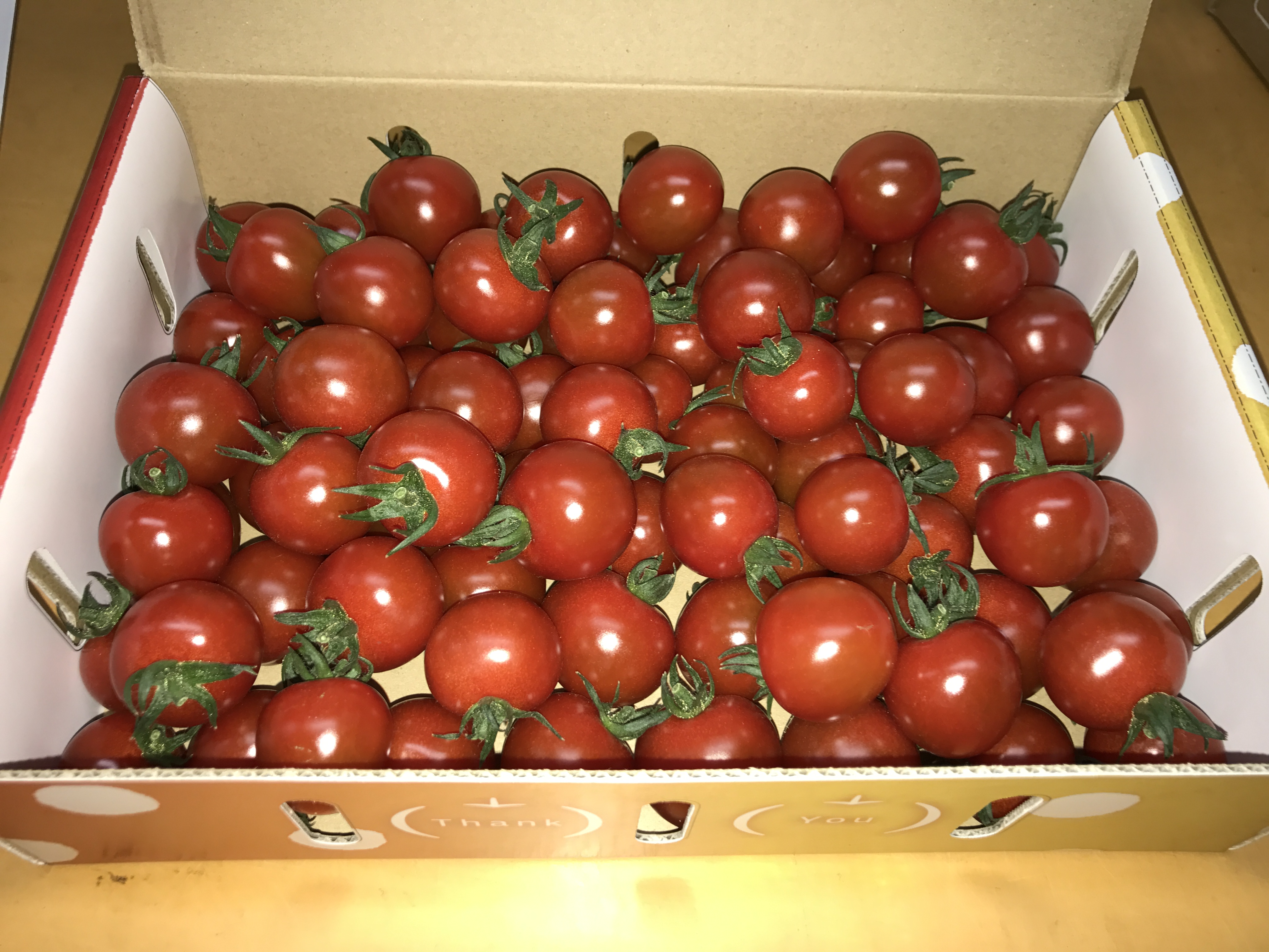 千果トマト（赤）　1kg
